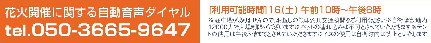 ひたちなか祭り 茨城 祭り ひたちなか 花火大会