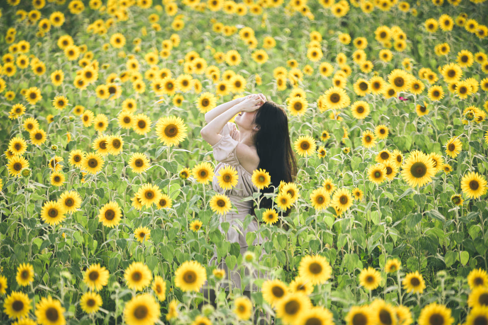 HITACHINAKA FESTIVAL 2024 × HITACHI SEASIDE PARK ibaraki japan